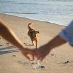 labrador namorados casamento na praia do rosa